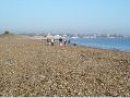 The Beach